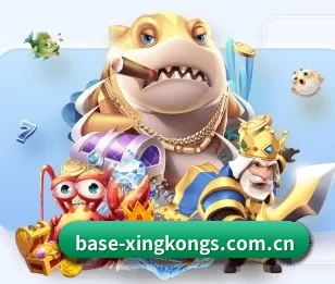 实时比分与赛程查询（xingkong）